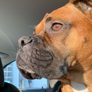 Meet your Posher, Jocelynn